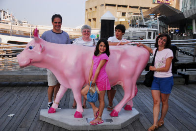 The pleasure of Pink cows.jpg