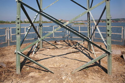 Colony of common tern on transmission line pedestal_MG_4233-11.jpg