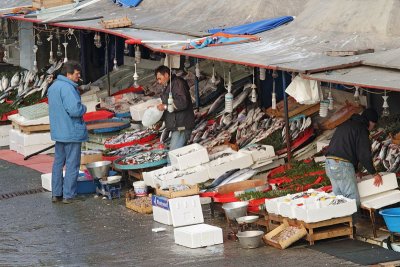 Fish market ribja tr�nica_MG_0437-11.jpg
