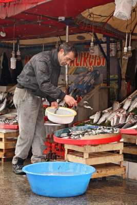 Fish market ribja tr�nica_MG_2921-11.jpg