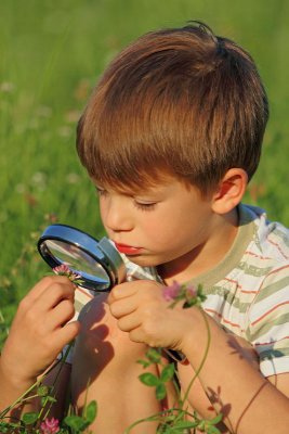 Young researcher mlad raziskovalec_MG_8844-11.jpg