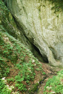 Entrance to the cave Belojaèa jama_MG_4815-11.jpg