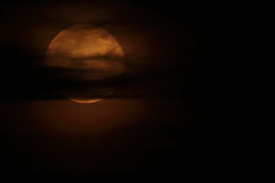 Full moon polna luna_MG_8368-11.jpg