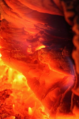 Live ľerjavica_MG_1673-11.jpg
