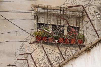 Behind the barbed wire za bodečo ľico_MG_1747-11.jpg