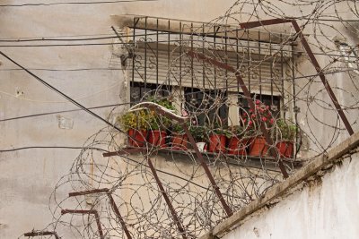 Behind the barbed wire za bodeo ico_MG_1747-11.jpg