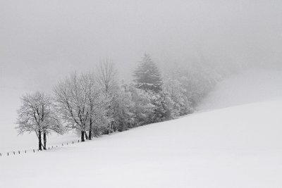 Winter zima_MG_4892-111.jpg