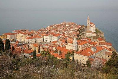 Piran_MG_9832-111.jpg