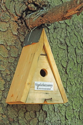 Bird nestbox ptičja gnezdilnica_MG_1652-11.jpg