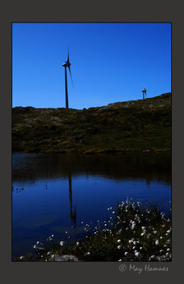 Bessakerfjellet - windmill