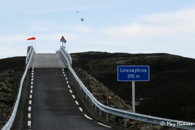 23. oktober 2011