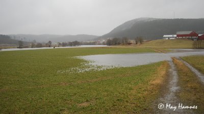 Flood Stordalselva March 2012