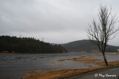 Flood Stordalselva March 2012