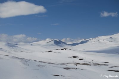 view from Tverrfjellet (NW)