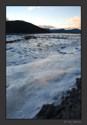 Monstadbukta