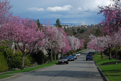 g4/37/770137/3/133637208.Sf4UTSPo.jpg