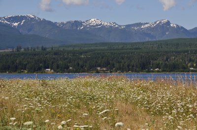 summer on the spit