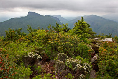 Table Rock