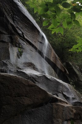 LANDSCAPES