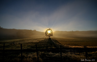 The Countryside