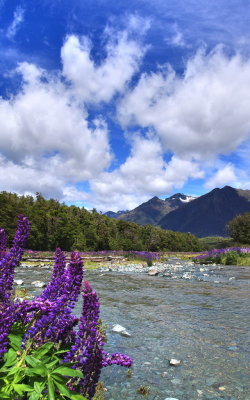 Cascade Creek2.jpg
