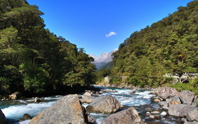 Monkey Creek.jpg