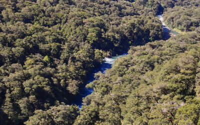 Monkey Creek - View from Above.jpg