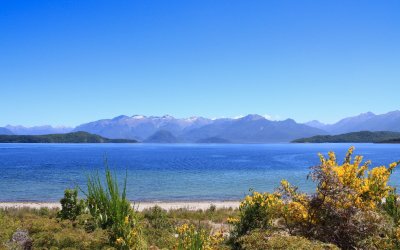 Lake Manapouri.jpg