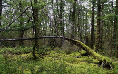 On Keplers Track.jpg