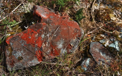 Red Rock.jpg