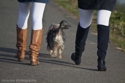 Out For A Walk