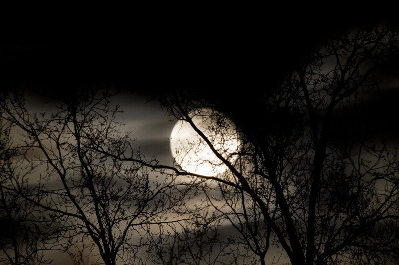 20110319_1278.jpg