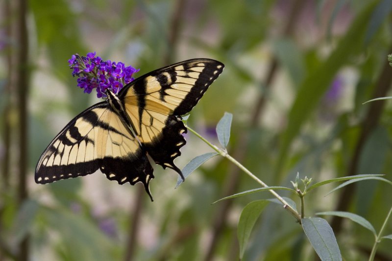 20110724_4139.jpg