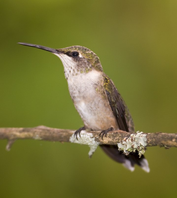 20110903_6510.jpg