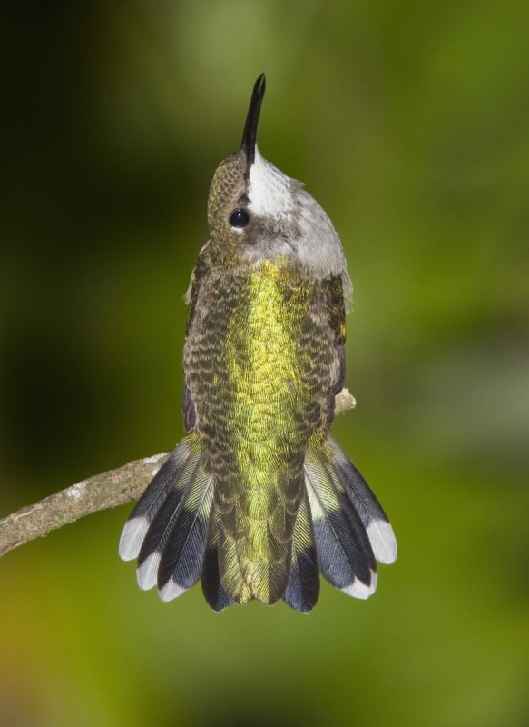 20111001_3470.jpg