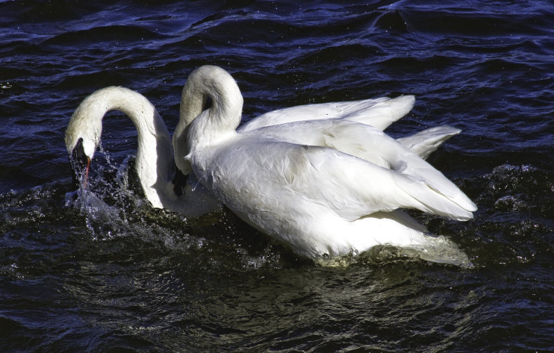 20111227_0852.jpg