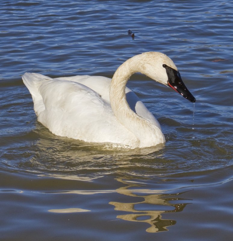 20120114_3700.jpg