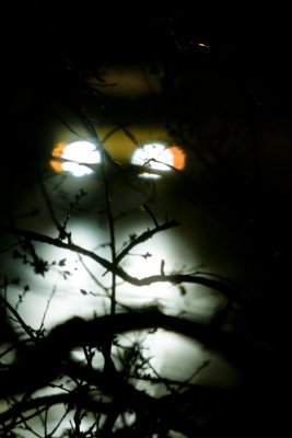 Rainy Night