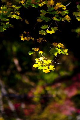 IMG_5165.jpg
