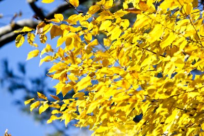 IMG_5214.jpg