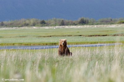 GV6C2971_DxO_GF.jpg