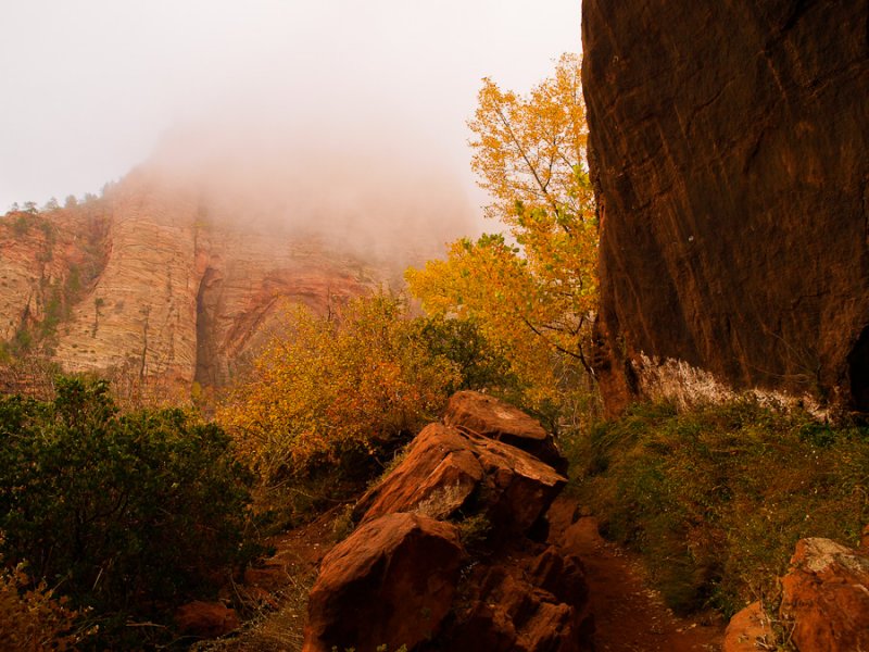 Zion National Park