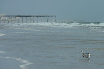 Wrightsville beach