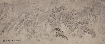 g4/37/888737/3/139059616.93A7nsWb.jpg