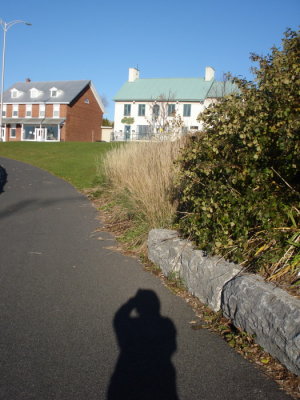 shadow 50001.jpg
