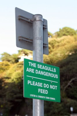 Danger birds