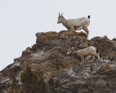 7img_14187 copy.jpg