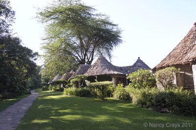 Arusha, Tanzania and Vicinity in Early 2011