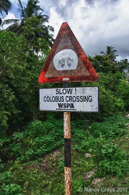 Red Colobus Monkey Traffic Sign