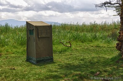 The Safari Luncheon Included Our Own Potty!